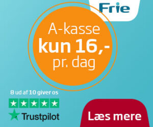 Frie a-kasse